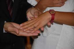 TN_0000140umby_0011.JPG