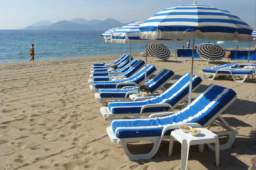 TN_francy0000299.JPG