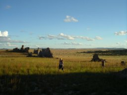 IMGP0537.JPG