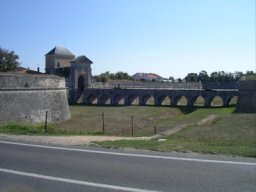 IMGP1913.JPG