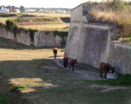 IMGP1947.JPG