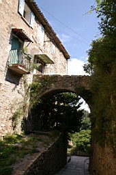 IMGP8868.JPG