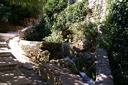 IMGP8869.JPG