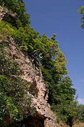 IMGP8878.JPG