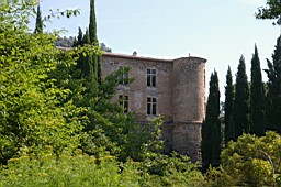 IMGP8894.JPG
