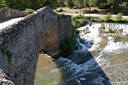 IMGP8897.JPG