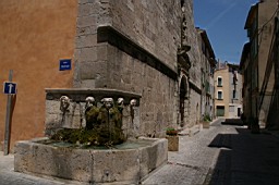IMGP8919.JPG