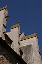 IMGP8921.JPG