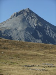 DSCF2417.JPG