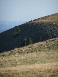 DSCF2421.JPG