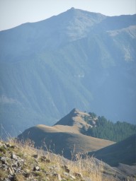 DSCF2428.JPG