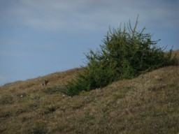DSCF2439.JPG