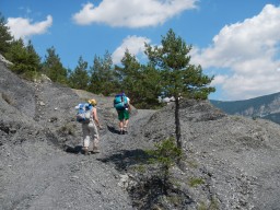 DSCN0868.JPG