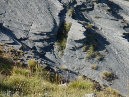 DSCN0882.JPG