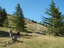 DSCN0887.JPG