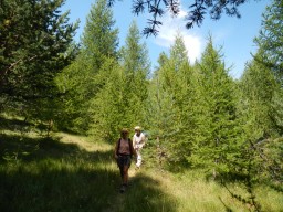 DSCN0962.JPG